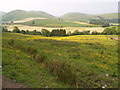 NY3487 : Esk Valley north of Langholm by Clive Nicholson