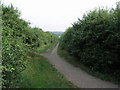 Trans Pennine Trail