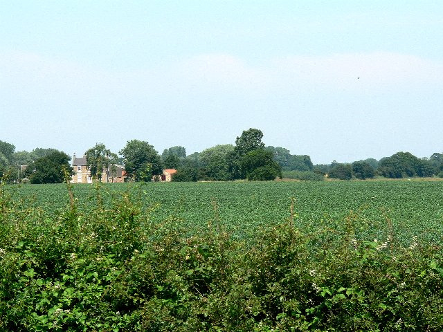 A Field Of Beans © Roger Gilbertson Geograph Britain And Ireland