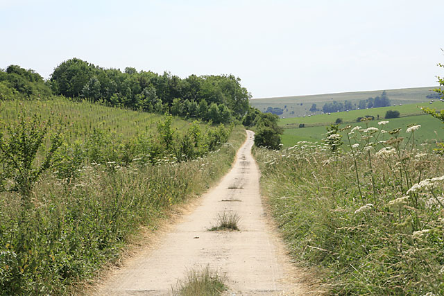 Bridleway and farm access road along the edge of Throope Hill