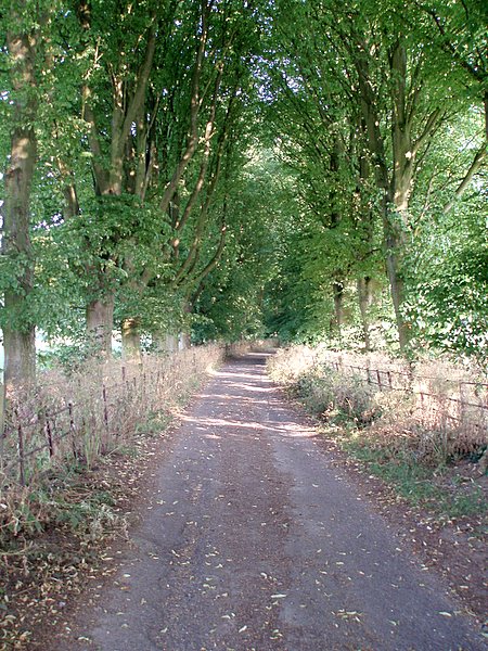 Trackway to Stinchcombe hill