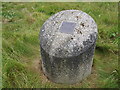 Marker for old mine shaft