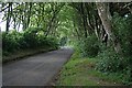 Road by the Horneywink Wood