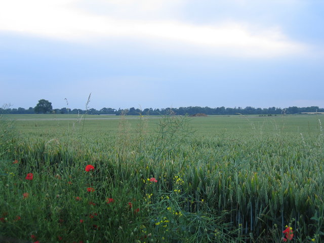 Fields near Hornton Grounds