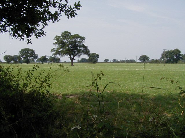 Shropshire field