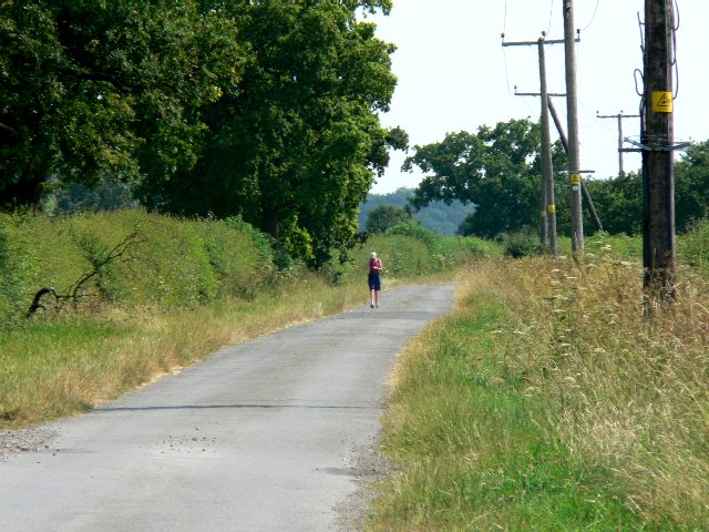 The Lonely Walker on the Country Road