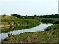 Looking Downriver from the Derwent Bridge