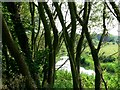 The River Derwent at Bubwith Parish Church