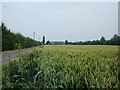 Towards Ash Row Farm