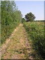 Footpath, Horning