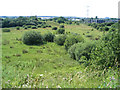 Nature Reserve in Prenton, Wirral