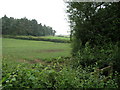 Footpath to Farm