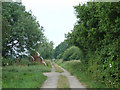 Footpath to Paradise Lodge