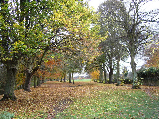 Tyne Green Country Park in Autumn © Clive Nicholson cc-by-sa/2.0 ...