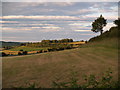 Looking East towards Whittonstall