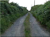  : Track leading to Bodfardden ddu by Nigel Williams