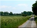 Cliffe Lane from Houghton Moor to Newbald