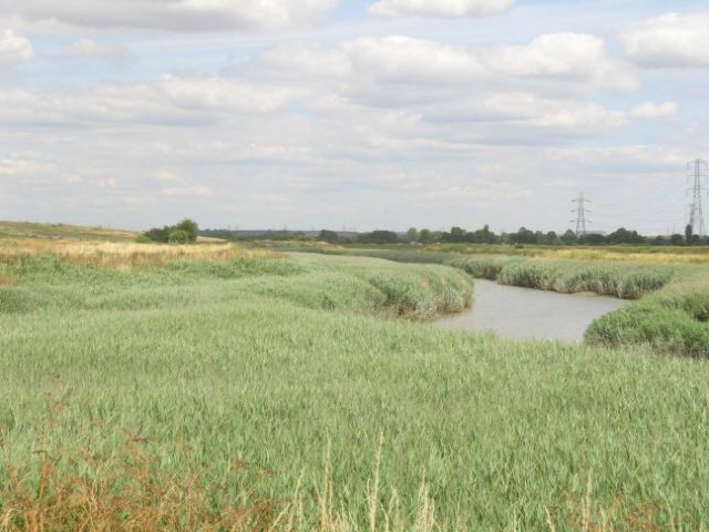 River Cray © Stephen Craven cc-by-sa/2.0 :: Geograph Britain and Ireland