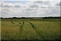 Fields at Spring Hall Farm