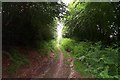 Public Bridleway on the Brendon Hills