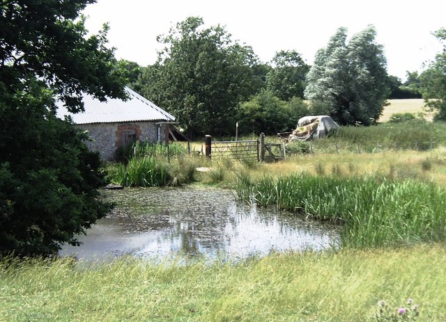 Pond at Lone Barn Farm south of Kingsnorth