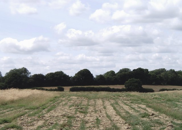 Open country near Braeside Farm south of Kingsnorth