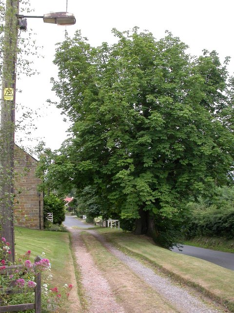 Chestnut Bank, Borrowby