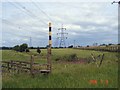 Helsby Marsh, beside the M56