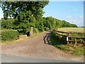 Track to Mount Pleasant Farm