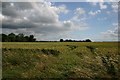 Fields at Windsor Green