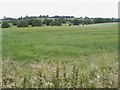 Shropshire fields