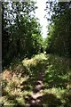 Line Walk, Little Whelnetham