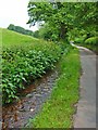 Roadside stream at Moddershall