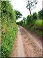 Muddy lane at Fulford