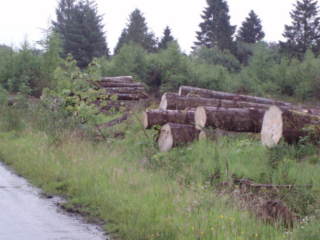 Logs on a minor road