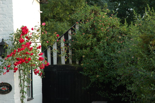 Honeysuckle covered garage and roses on the cottage.