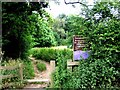 Eckington Woods (from top end of Back Lane)