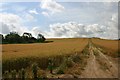 TL4644 : Farm track to Pepperton Hill by Bob Jones