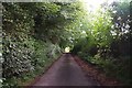 SS9830 : Lane to Upton Farm by Barbara Cook