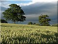 Farmland, Milton of Machany