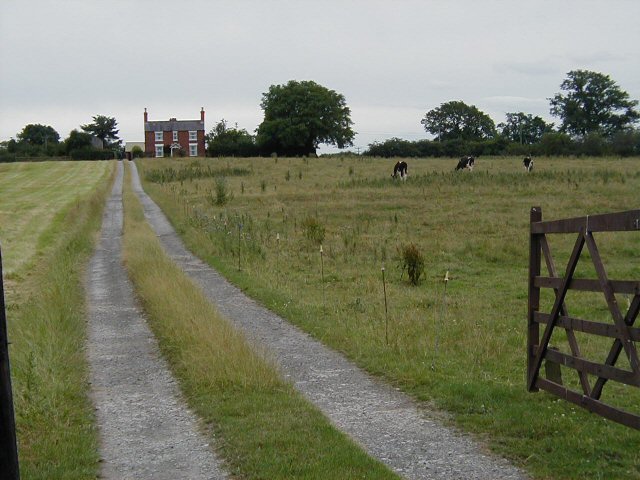 Witney's Farm - access lane