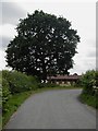 Roadside Stables