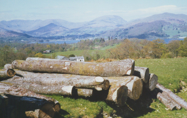 log pile near High Wray