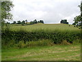 Twin hills northwest of Harpole