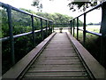 Footbridge across Burstow Stream