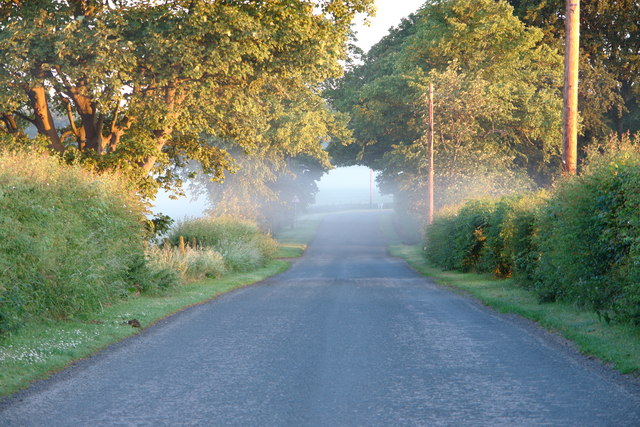 Early morning mist hangs over road at Luffness Mains