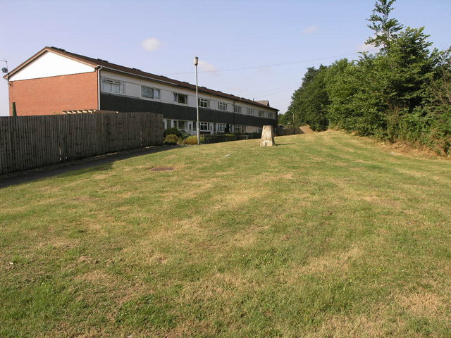 Trig on the Lawn