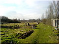 High Lane Allotments