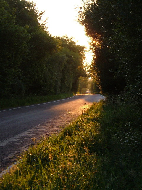 Seaton Road on Farway Hill
