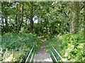 Crossing Basford Brook